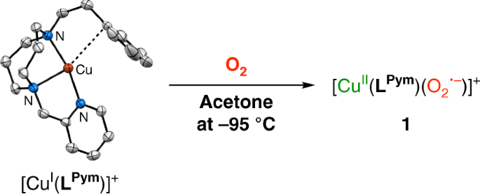 Mononuclear Manganese(III) Superoxo Complexes: Synthesis