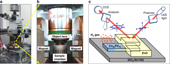 Visualizing hydrogen diffusion in magnetic film through magneto-optical kerr effect