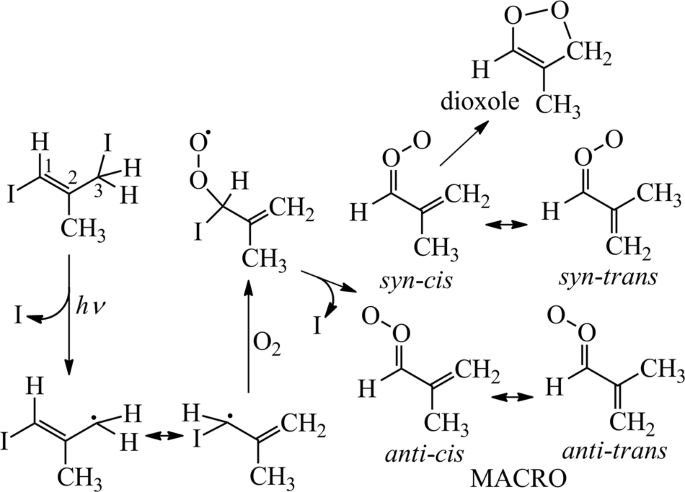 Surprisingly long lifetime of methacrolein oxide, an isoprene derived criegee intermediate, under humid conditions