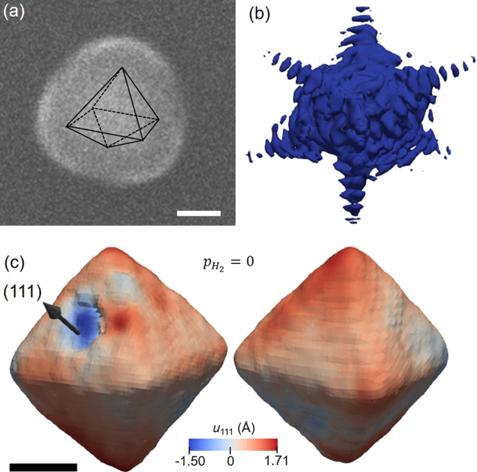 Structure of a seeded palladium nanoparticle and its dynamics during the  hydride phase transformation | Communications Chemistry