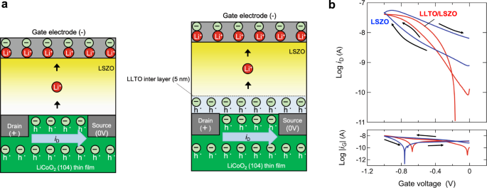 Modeling the electrical double layer at solid-state