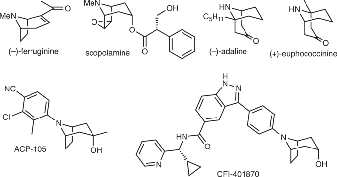 Tropane and related alkaloid skeletons via a radical [3+3]-annulation  process | Communications Chemistry