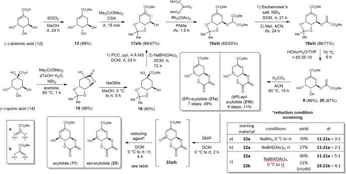 Six-Step Synthesis of (±)-Lysergic Acid