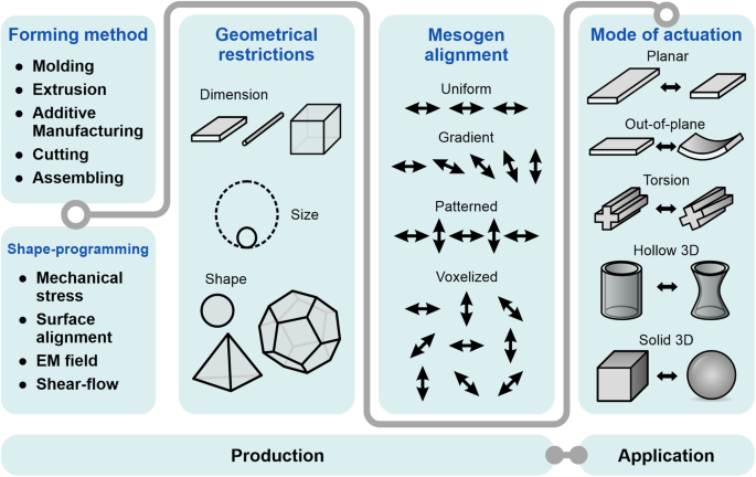 Shape programming of liquid crystal elastomers | Communications 