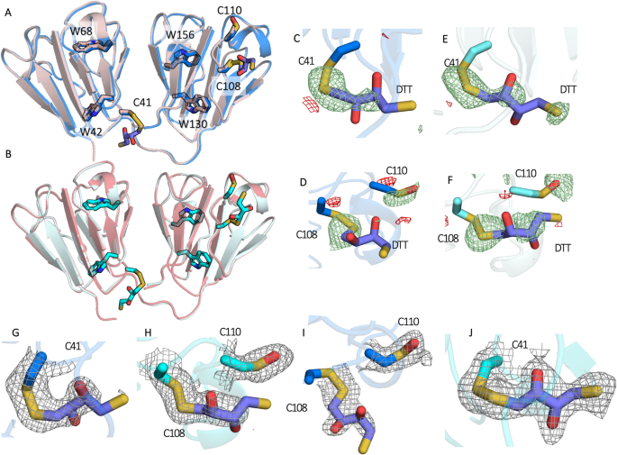 An ultraviolet-driven rescue pathway for oxidative stress to eye lens  protein human gamma-D crystallin