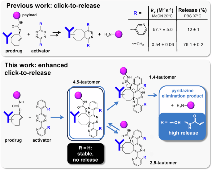 Ortho-functionalized pyridinyl-tetrazines break the inverse correlation between click reactivity and cleavage yields in click-to-release chemistry