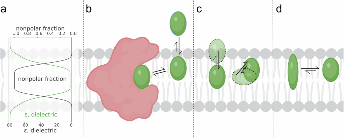 A quantitative analysis of ligand binding at the protein-lipid bilayer ...