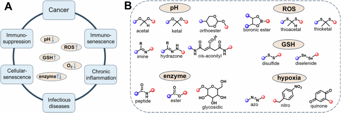 Towards precision medicine using biochemically triggered cleavable conjugation | Communications Chemistry Towards precision medicine using biochemically triggered cleavable conjugation | Communications Chemistry