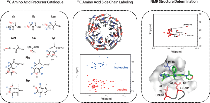 NMR-driven structure-based drug discovery by unveiling molecular interactions