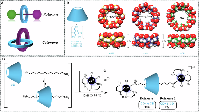 Cyclodextrin-based rotaxanes as a versatile platform for biological and medicinal applications