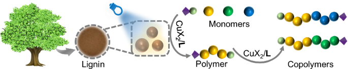 Soda lignin as a sustainable photosensitive component for conventional and controlled radical photopolymerization