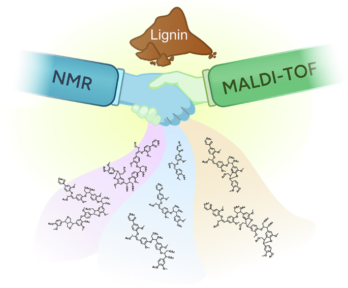 Advancing lignin analytics via elucidation of linkage progressions in lignin populations - Communications Chemistry