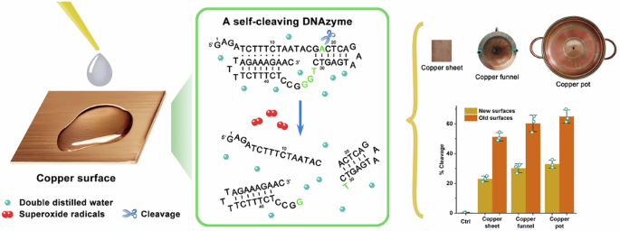Metal surface-triggered DNAzyme catalysis for efficient DNA cleavage - Communications Chemistry