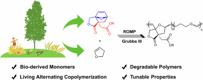 Degradable polymers via controlled alternating ring-opening metathesis copolymerization of bio-sourced oxa-norbornenes and 2,3-dihydrofuran - Communications Chemistry