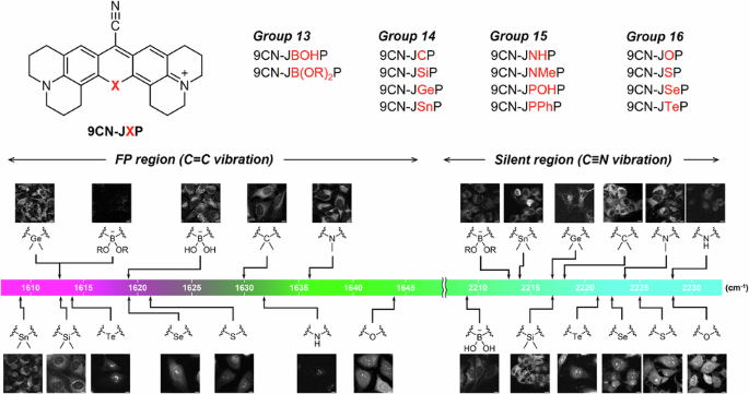 Diversification of the 10th core atom of 9-cyanopyronins expands the resonance Raman vibrational palette
