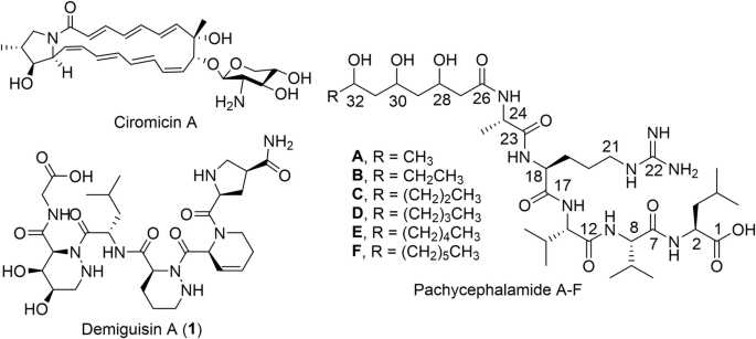 Researchers Uncover New Demiguisin Peptides with Anti-Mycobacterial Potential