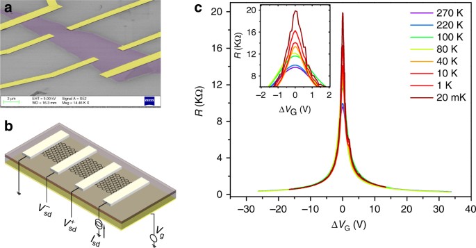 Exotic Multifractal Conductance Fluctuations In Graphene Communications Physics