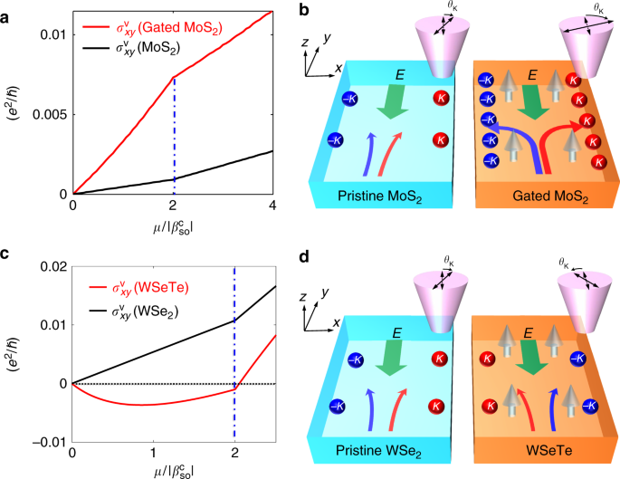 Spinorbit coupling induced valley Hall effects in transitionmetal