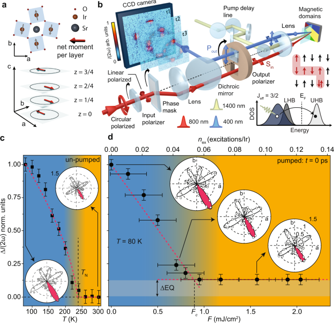 Decoupling Of Static And Dynamic Criticality In A Driven Mott Insulator Communications Physics