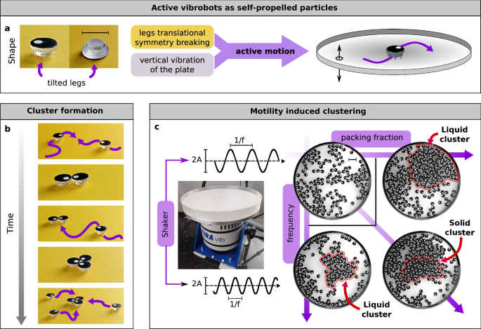 Dynamical clustering and wetting phenomena in inertial active matter ...