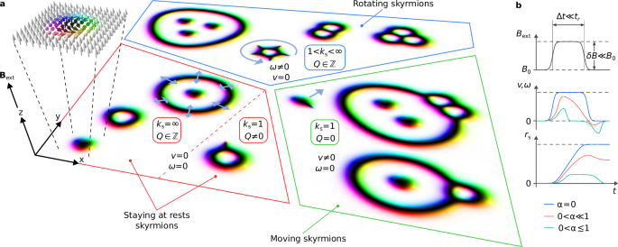 Symmetry-governed dynamics of magnetic skyrmions under field pulses ...