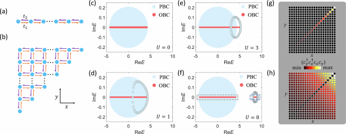 Non-Hermitian interacting quantum walks of correlated photons ...