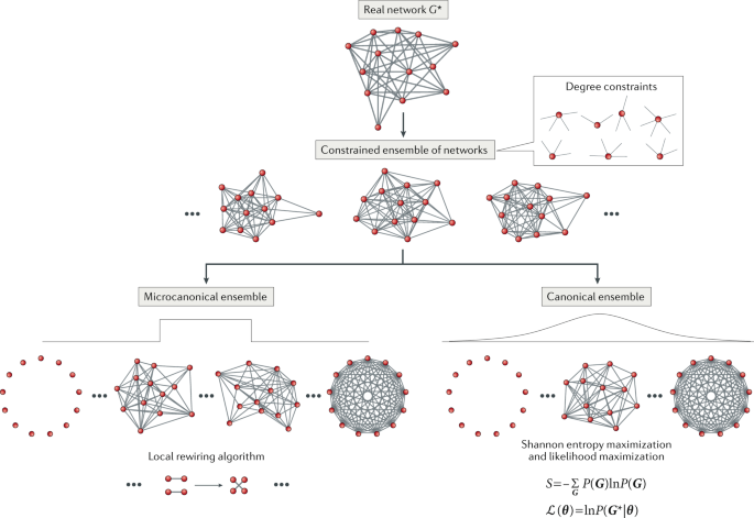 The statistical physics of real-world networks | Nature Reviews Physics