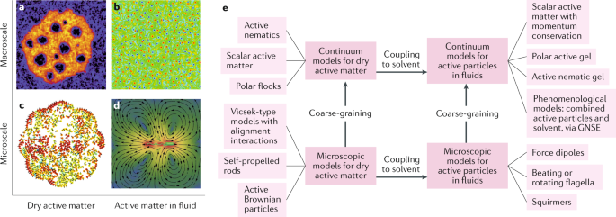Machine learning for active matter