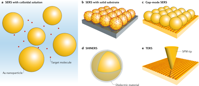 Fundamental understanding and applications of plasmon-enhanced Raman  spectroscopy | Nature Reviews Physics