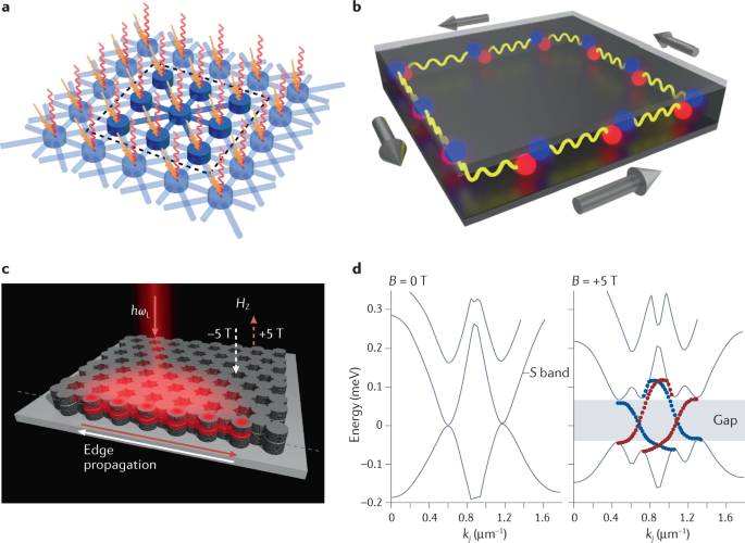 A Passion for quantum light // University of Oldenburg