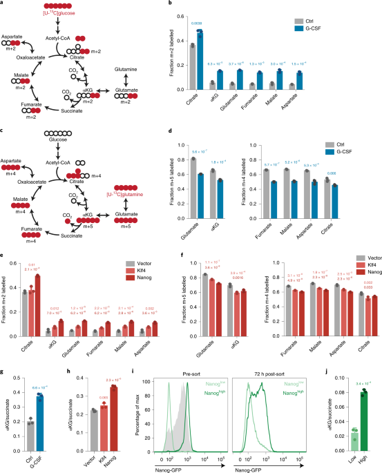 Glutamine independence is a selectable feature of pluripotent stem cells