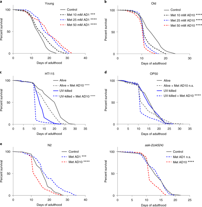 Loss Of Metabolic Plasticity Underlies Metformin Toxicity In Aged Caenorhabditis Elegans Nature Metabolism