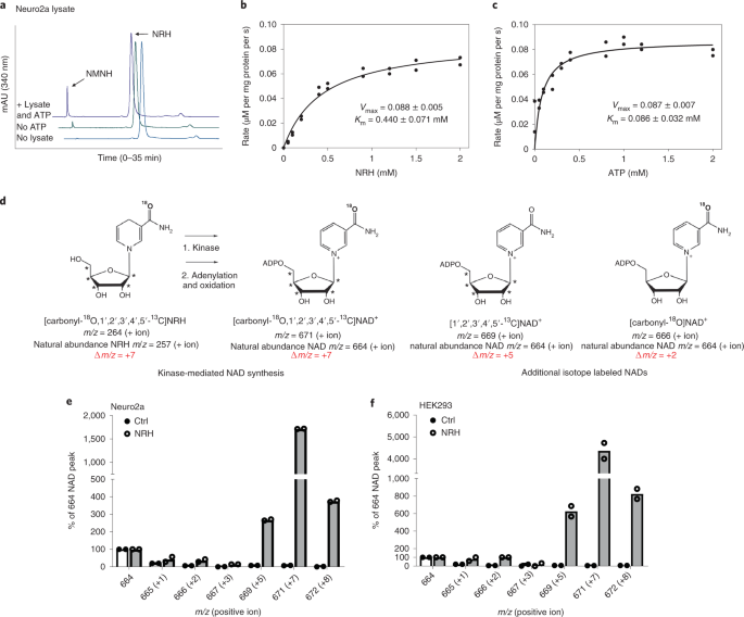 nrh kinase activity by adenosine kinase
