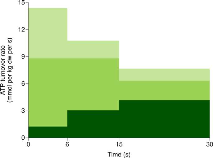 Skeletal muscle energy metabolism during exercise - Nature