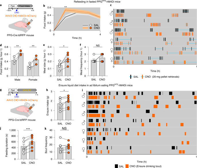 Central And Peripheral Glp 1 Systems Independently Suppress Eating Nature Metabolism Central And Peripheral Glp 1 Systems Independently Suppress Eating Nature Metabolism