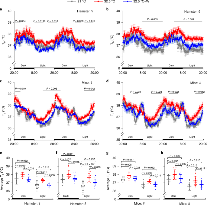 Body temperature is a more important modulator of lifespan than metabolic  rate in two small mammals