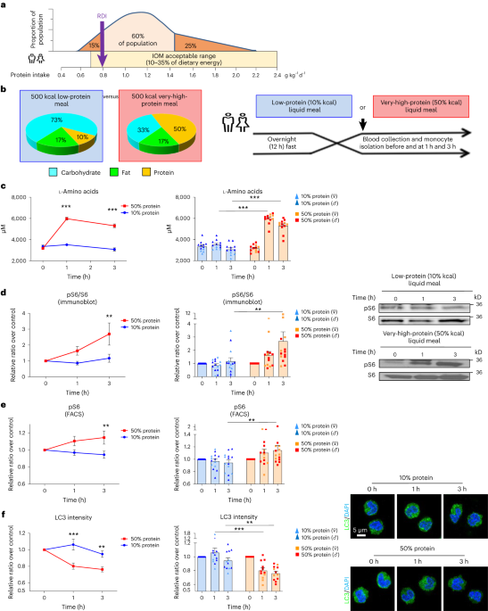 Identification of a leucine-mediated threshold effect governing macrophage mTOR signalling and cardiovascular risk - Nature Metabolism