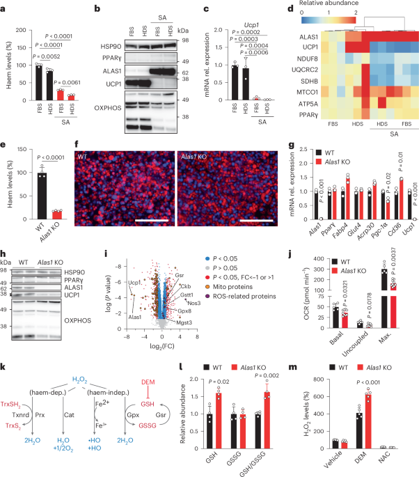 levels of oxidized glutathione Reduced glutathione (GSH) and oxidized glutathione (GSSG) level in