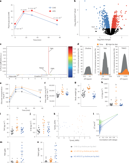 Inhibition of IRAK4 by microbial trimethylamine blunts metabolic inflammation and ameliorates glycemic control
