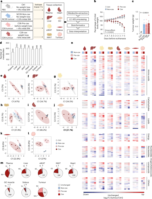 reveal glutathione review Multi-omics profiling of cachexia-targeted tissues reveals a  spatio-temporally coordinated response to cancer