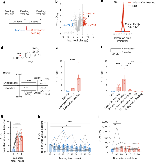 Python metabolomics uncovers a conserved postprandial metabolite and gut–brain feeding pathway - Nature