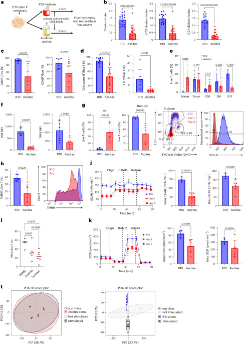 Lipids in ovarian cancer ascites impair T cell activation by disrupting TCR dynamics - Nature