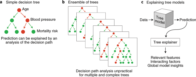Learning with explainable trees | Nature Machine Intelligence