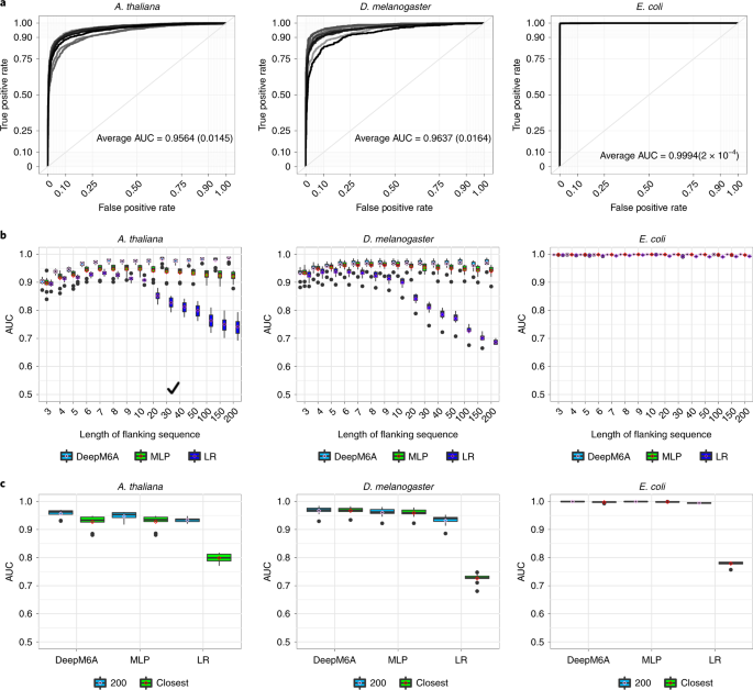 Elucidation Of Dna Methylation On N 6 Adenine With Deep Learning Nature Machine Intelligence