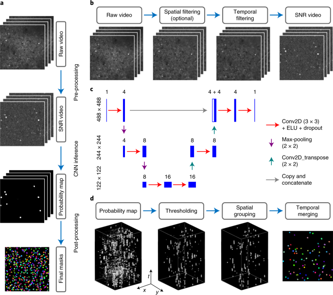 Segmentation of neurons from fluorescence calcium recordings beyond real time