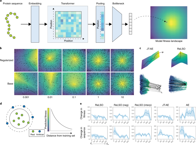 Transformer-based protein generation with regularized latent space 