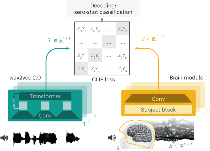 Brain Mapping, Test, Tools & Techniques - Video & Lesson Transcript