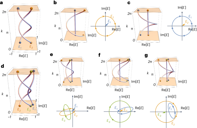 Unsupervised learning of topological non-Abelian braiding in non ...