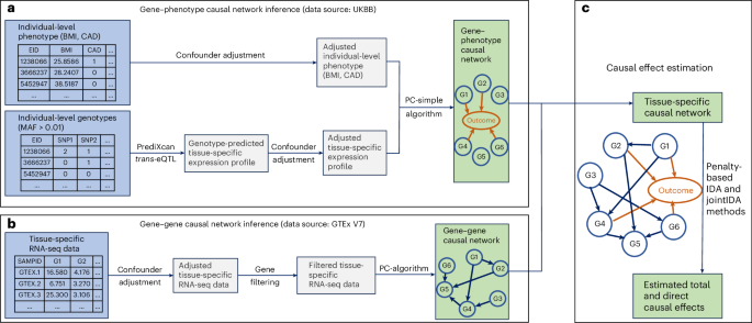 Estimation of causal effects of genes on complex traits using a ...