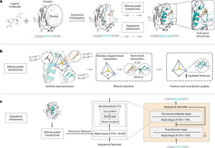 Efficient generation of protein pockets with PocketGen | Nature 